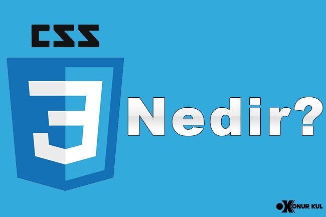 CSS Nedir?